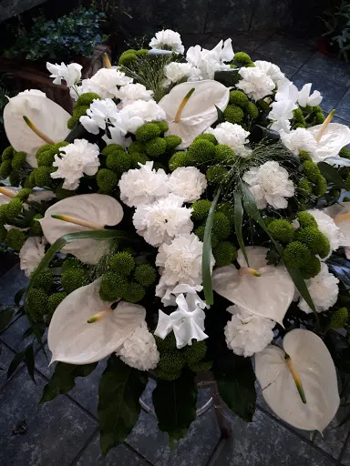 Kwiaciarnia Kamelia Szczecin